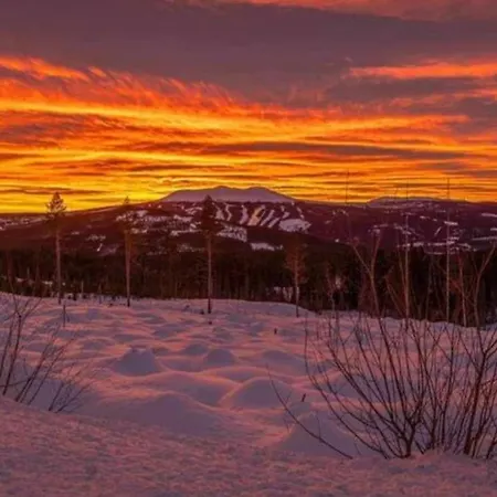 Appartement Sentrum Trysil